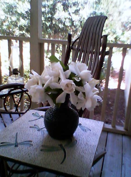May Gardenias